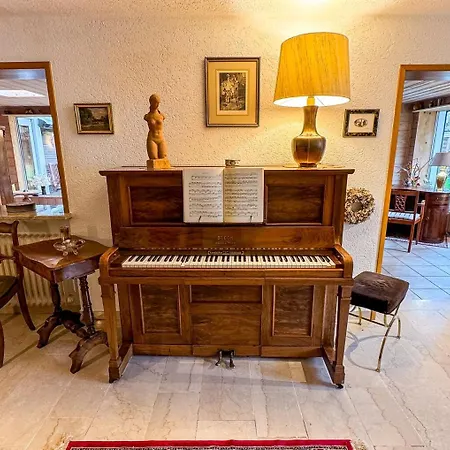 Stadtgarten Oase München