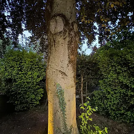 Stadtgarten Oase Διαμέρισμα *
