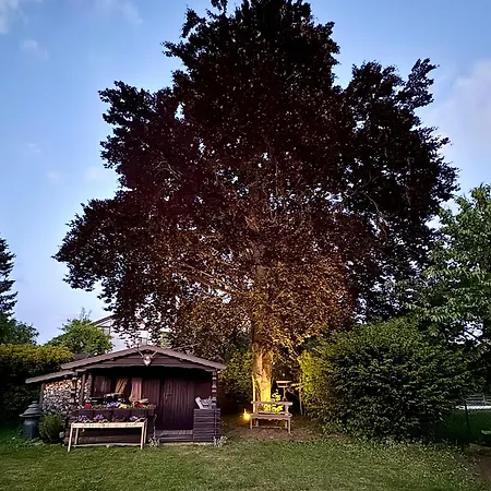 Stadtgarten Oase