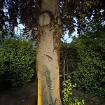 Stadtgarten Oase Apartamento *