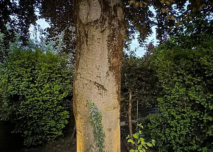 Stadtgarten Oase Apartamento *