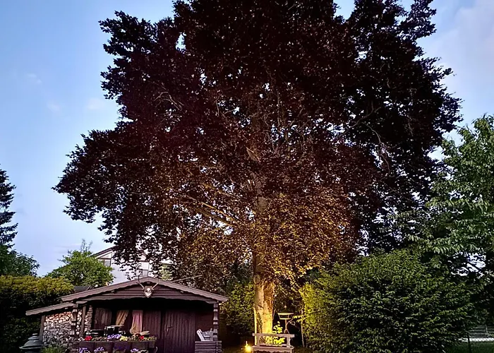 Stadtgarten Oase